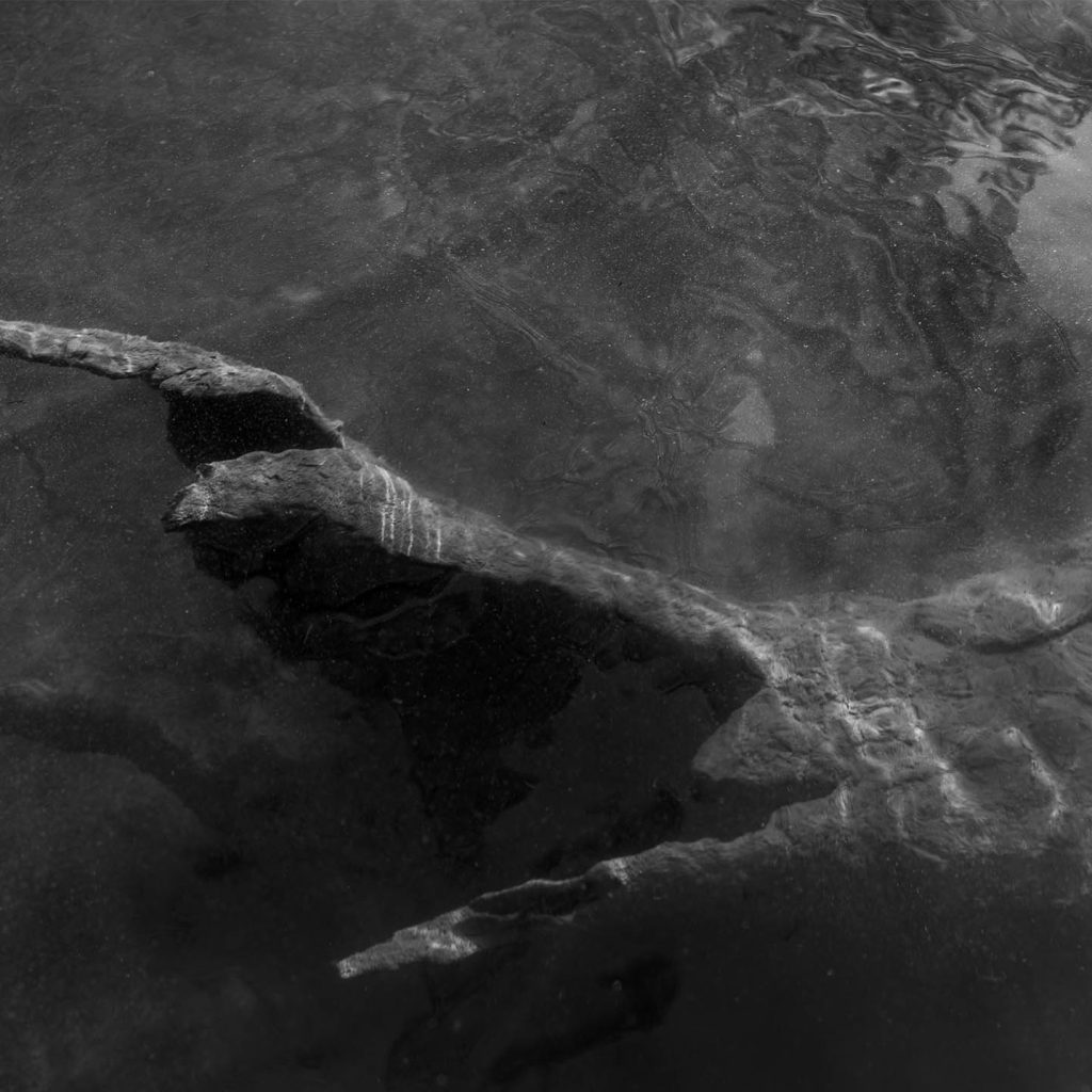 Biesbosch 4