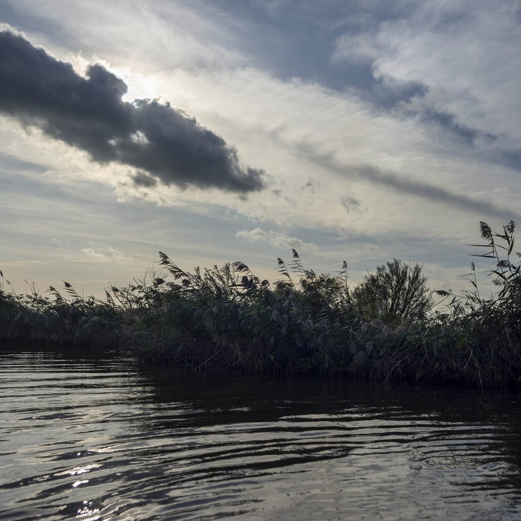 Biesbosch 6