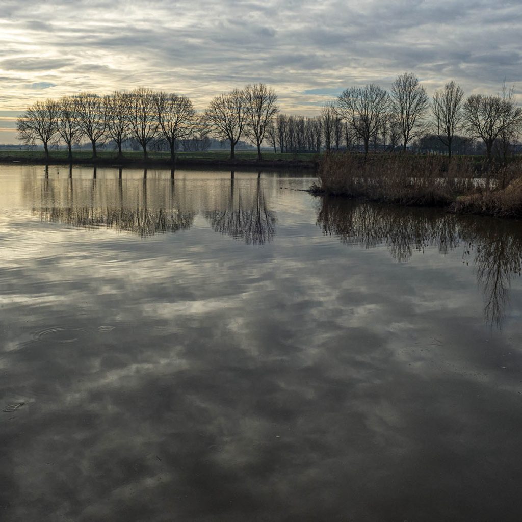 Biesbosch 7
